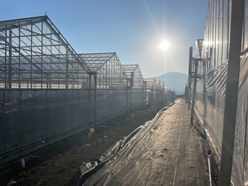 有限会社ソルプランタス-4