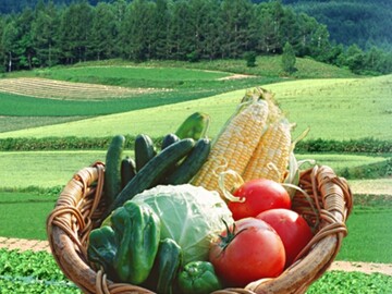 岡山県赤磐市×青果営業(経験者)/法人【42660】-top