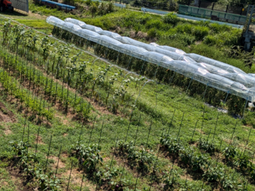 株式会社グリーンフィールドプロジェクト【長野県辰野町 地域おこし協力隊】-1