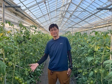 有限会社ソルプランタス-top