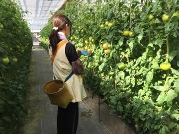 有限会社ソルプランタス-2