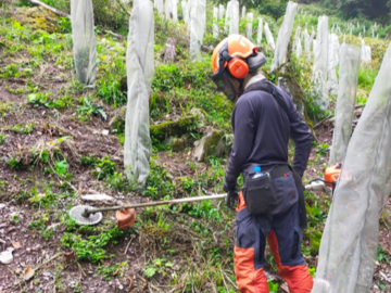 有限会社青木林業-top