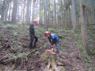 有限会社青木林業-3