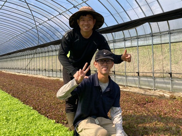 株式会社みっちゃん工房-top