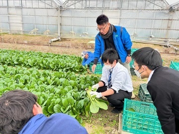 株式会社横江ファーム-5