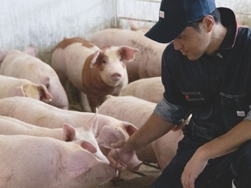 岩手県一関市×養豚/法人【33995】-top