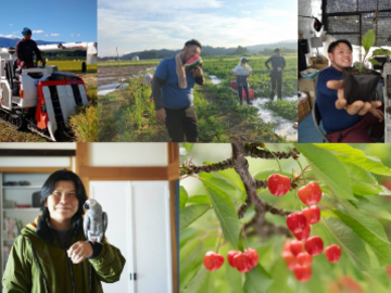 山形県村山市 令和8年度地域おこし協力隊(農業振興分野)募集-top