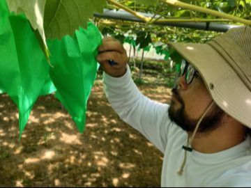 山形県村山市 令和8年度地域おこし協力隊(農業振興分野)募集-3