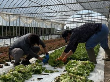 山形県村山市 令和8年度地域おこし協力隊(農業振興分野)募集-5