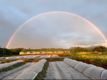 山形県村山市 令和8年度地域おこし協力隊(農業振興分野)募集-8