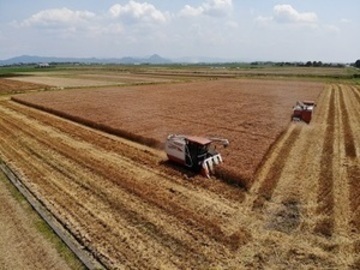 株式会社イカリファーム【営業・事務】-4