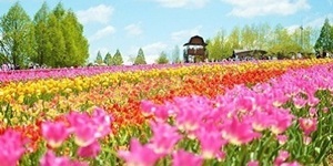 株式会社世羅高原農場