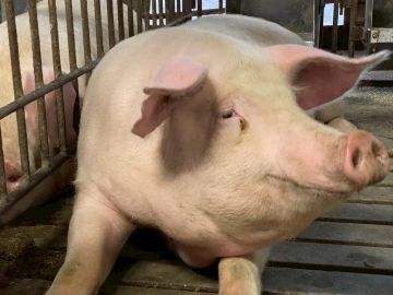 小野株式会社-3