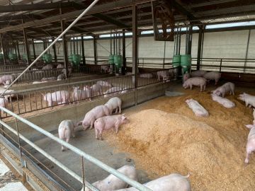 小野株式会社-1