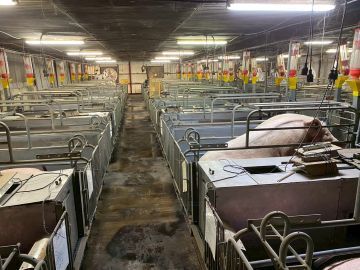 小野株式会社-7