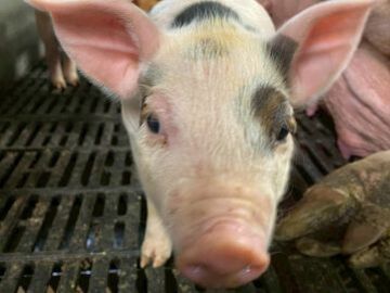 小野株式会社-8