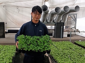 株式会社ベルディ-top