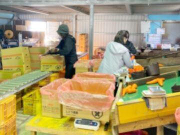 合同会社しとう農園-5