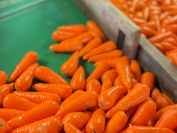 合同会社しとう農園-6