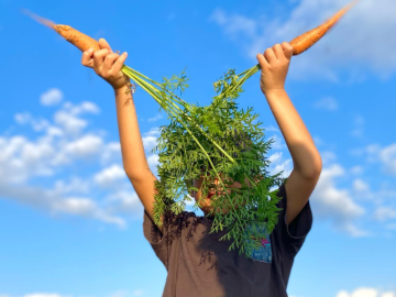 合同会社しとう農園-8