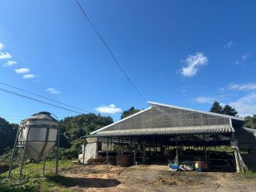 堀米和牛牧場-5