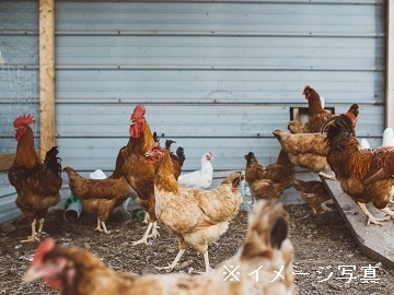 熊本県山鹿市×捕鳥ドライバー/法人【42678】-1