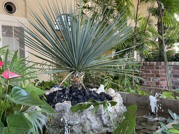 株式会社茨木春草園-3