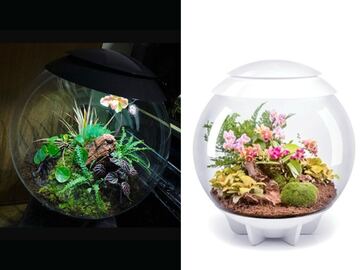 株式会社茨木春草園-5