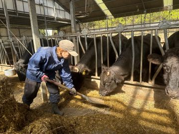 堀米和牛牧場-4