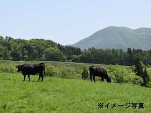 鹿児島県薩摩川内市×肉牛・露地野菜/法人【42680】-top