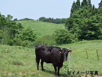 鹿児島県薩摩川内市×肉牛・露地野菜/法人【42680】-1