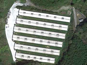 岡山県新見市×養鶏/法人【42207】-2