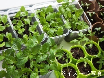 株式会社NEXT ONE【神奈川県:スマート農園型就労支援PJT担当者(新卒)】-1