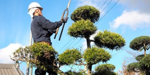 有限会社廣瀬造園