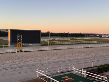 名古屋競馬今津博之厩舎-4