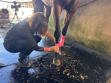 名古屋競馬今津博之厩舎-1