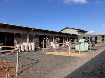 名古屋競馬今津博之厩舎-3