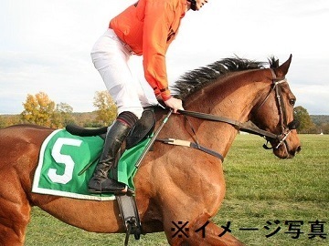 名古屋競馬今津博之厩舎-6