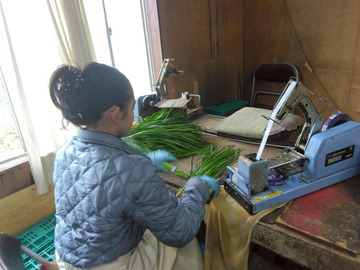 チャイナベジタブル 石原-4