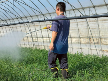 チャイナベジタブル 石原-2