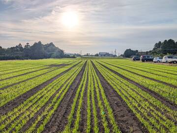 有限会社室田製茶-3