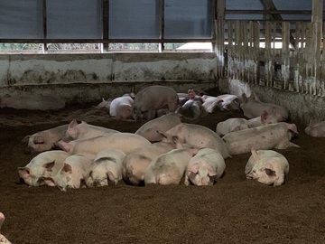 有限会社綱田牧場(労働環境よかばい協議会)-1