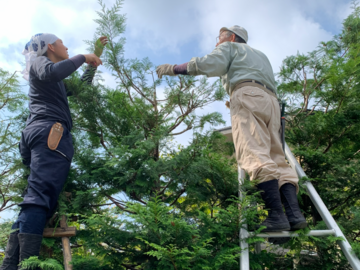 江夏庭苑事務所-top