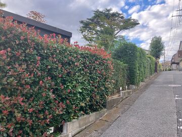 株式会社埼玉植物園-2