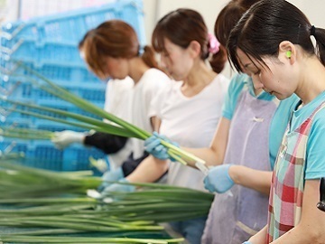 株式会社村田農園-2