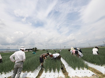 株式会社村田農園-3