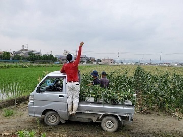 株式会社村田農園-4