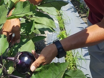 株式会社村田農園-5