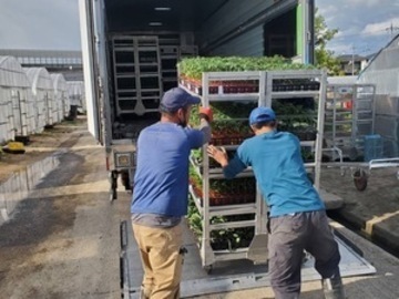 株式会社村田農園-6