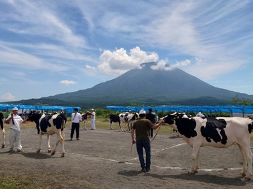 ようてい酪農ヘルパー利用組合-4